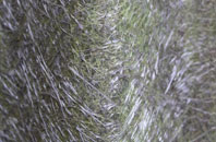 Over Burrows fibreglass roof work